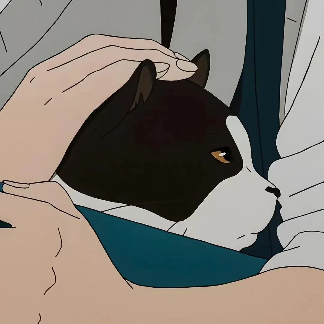 动漫头像 猫