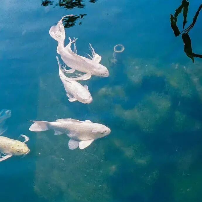 背景图 意境 唯美 大海