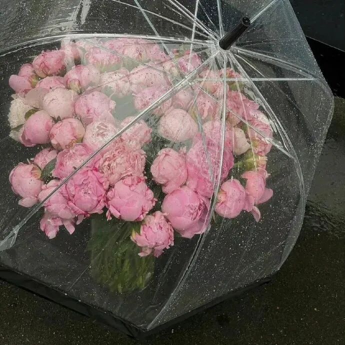 背景图12142 花