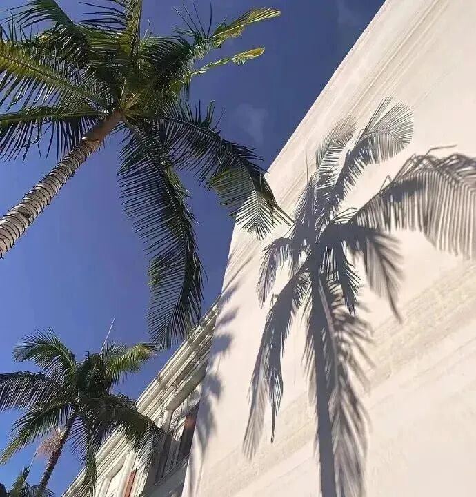 背景图 ins ins高级 质感
