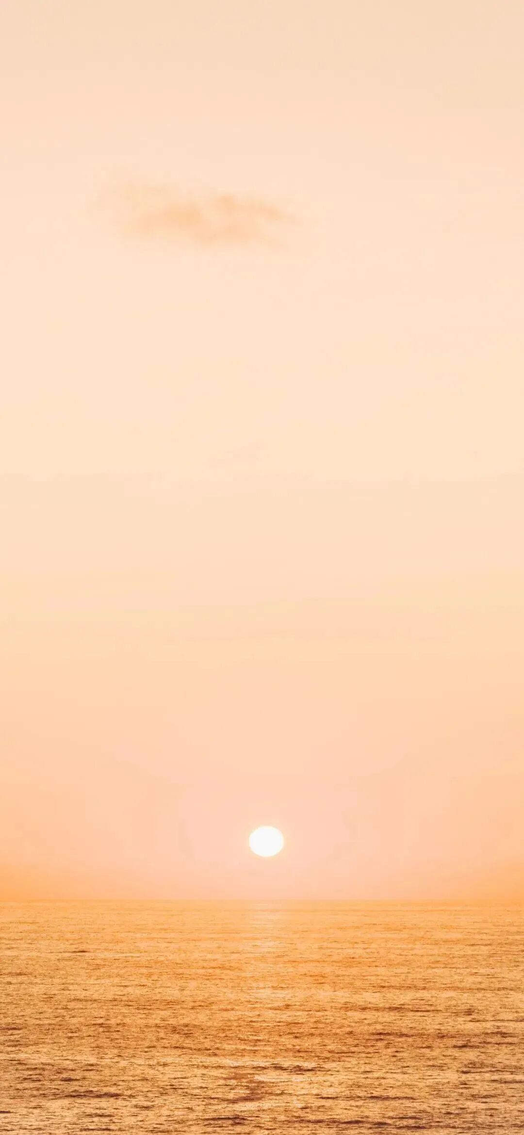 风景