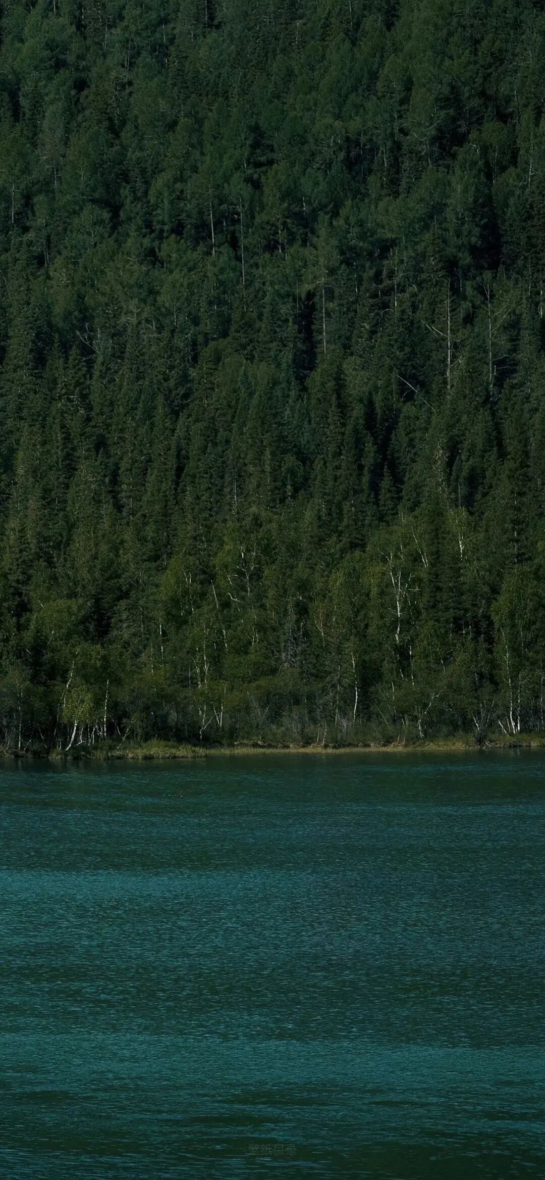 风景