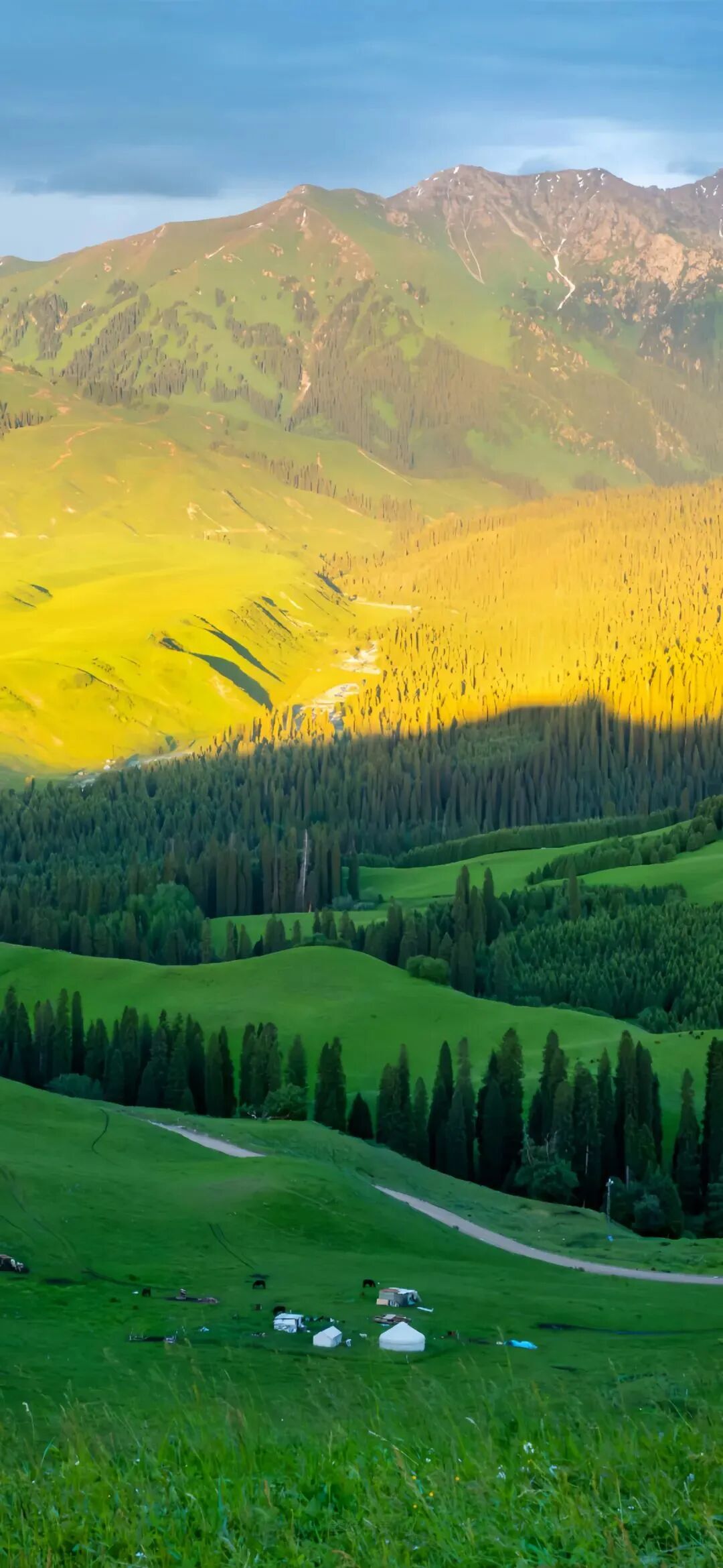 风景