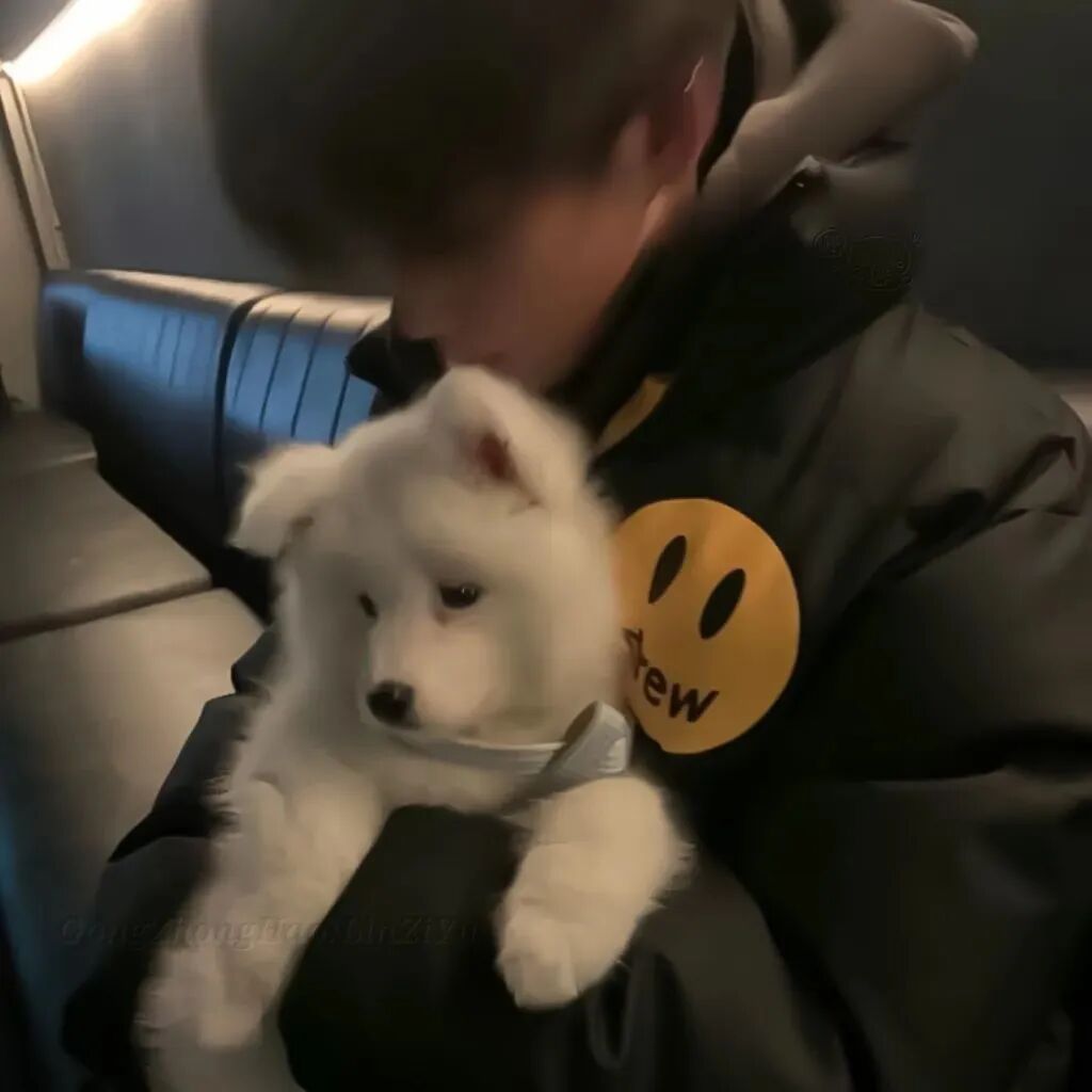抱着狗狗个性男生头像