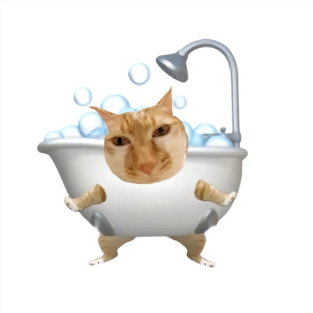 可爱猫咪萌宠头像