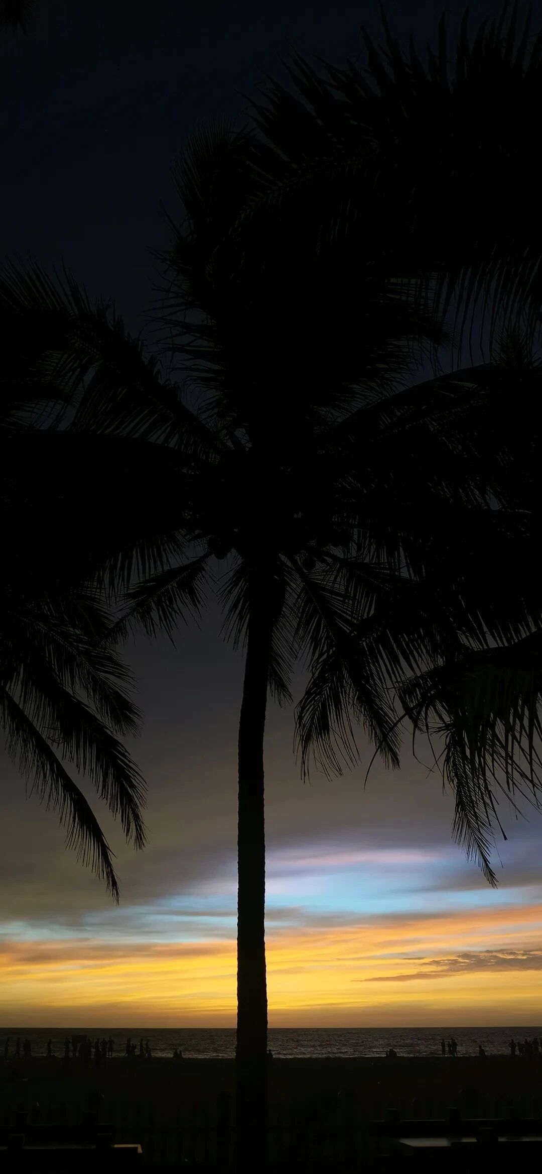 风景