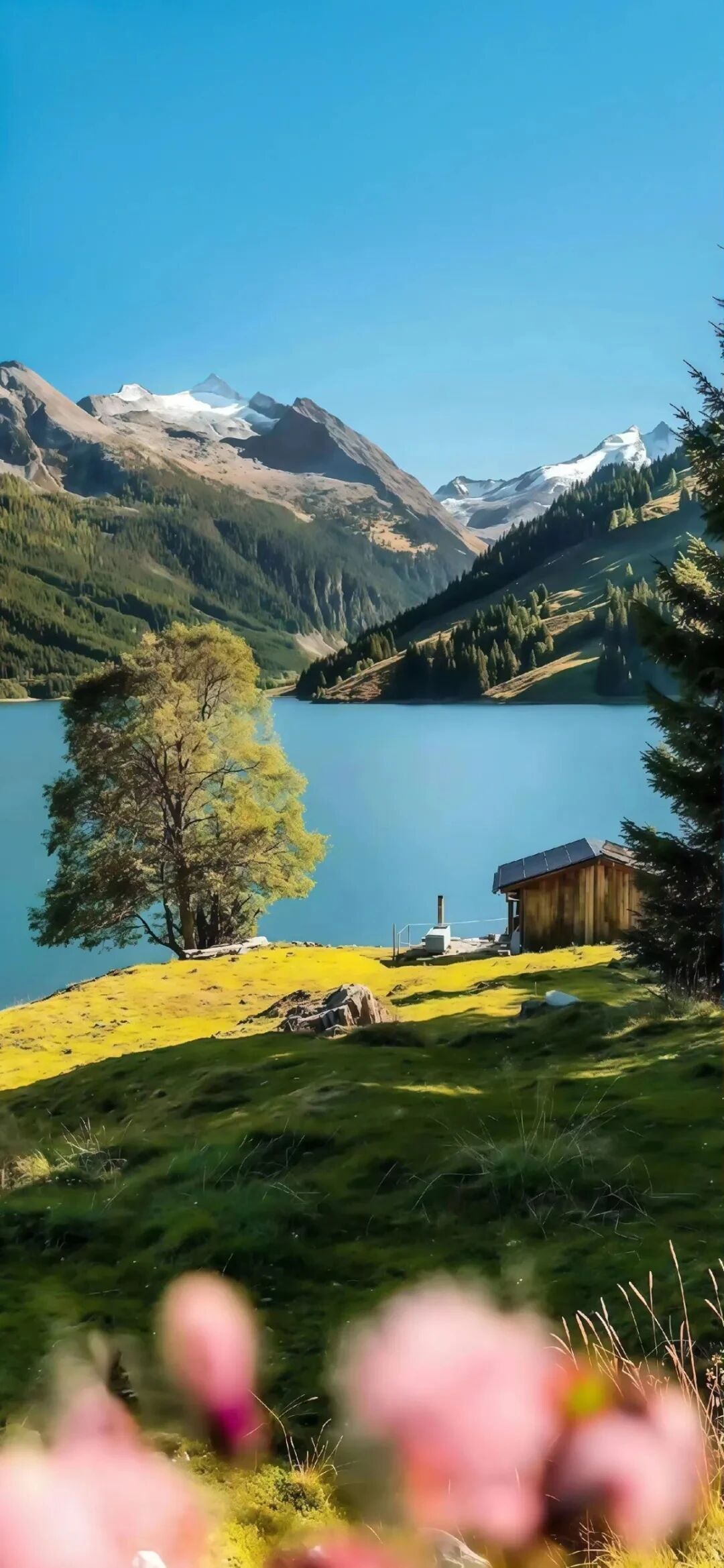 风景