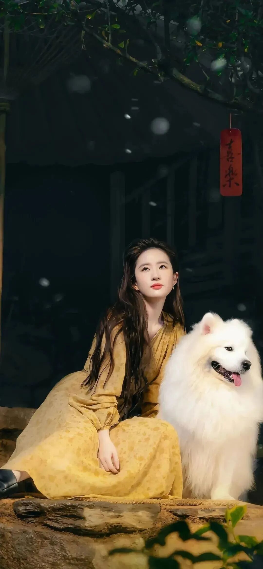 爱豆