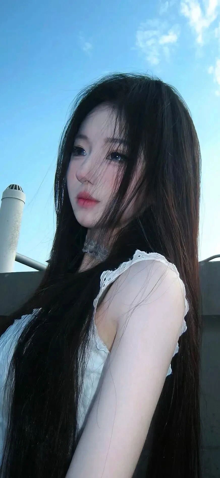抖音热门