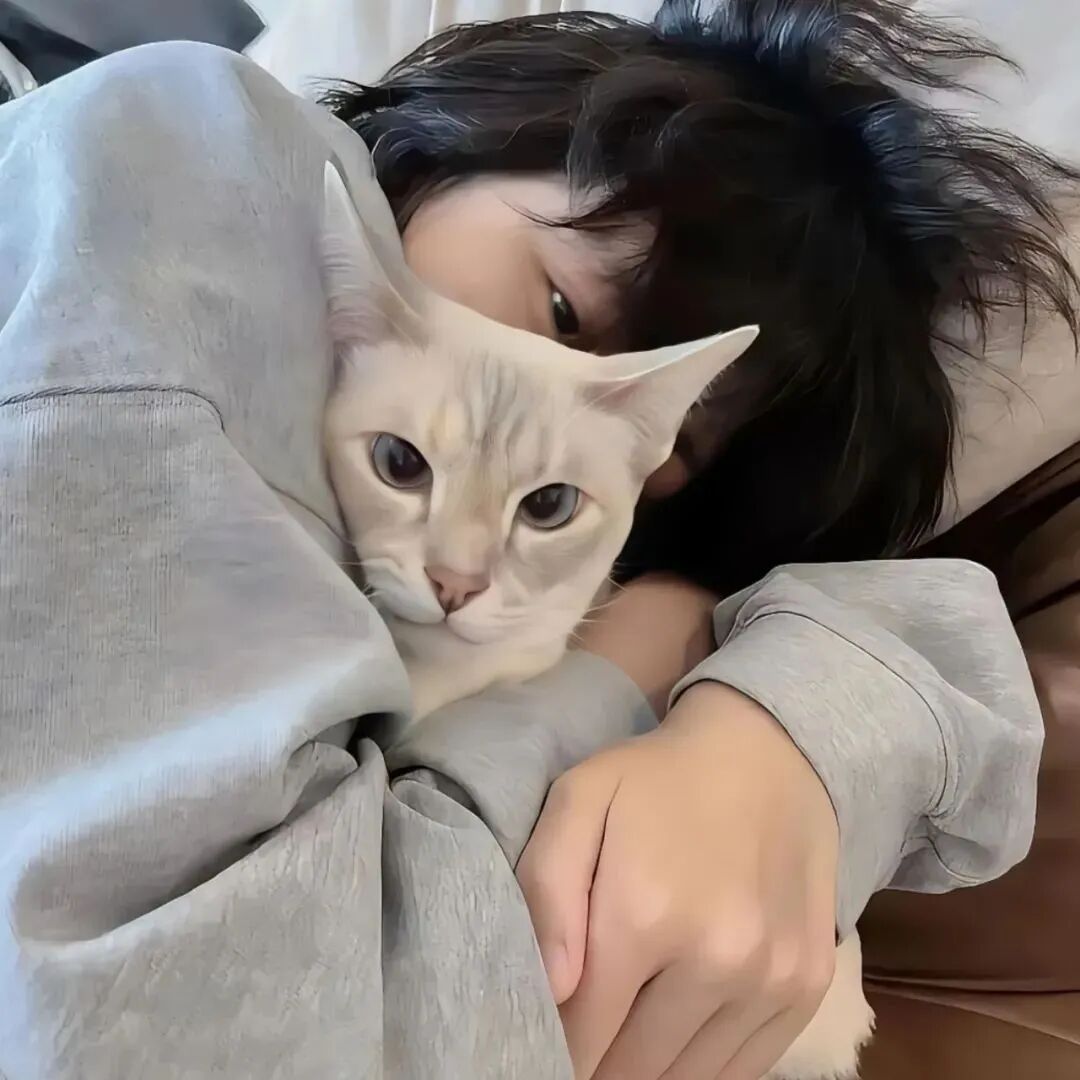 抱着猫咪小众男生头像
