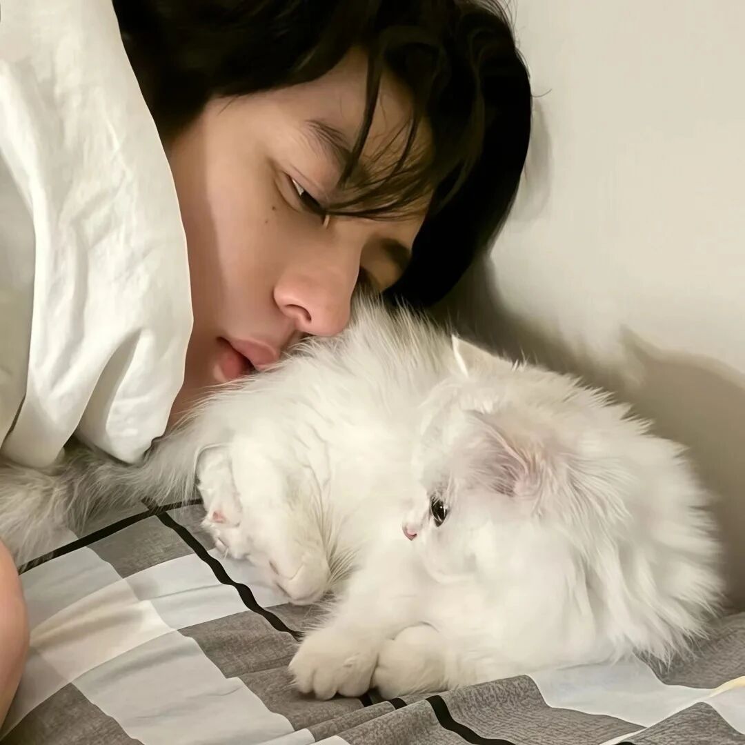 猫咪小众男生头像