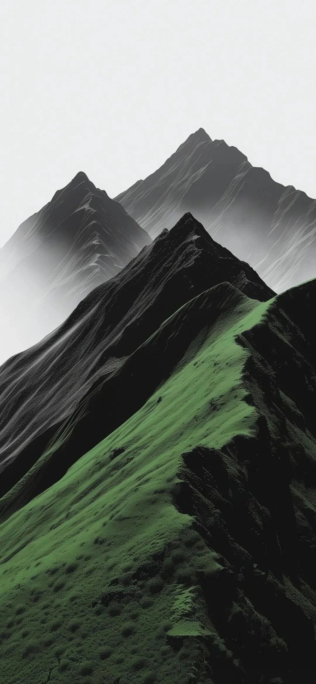 风景