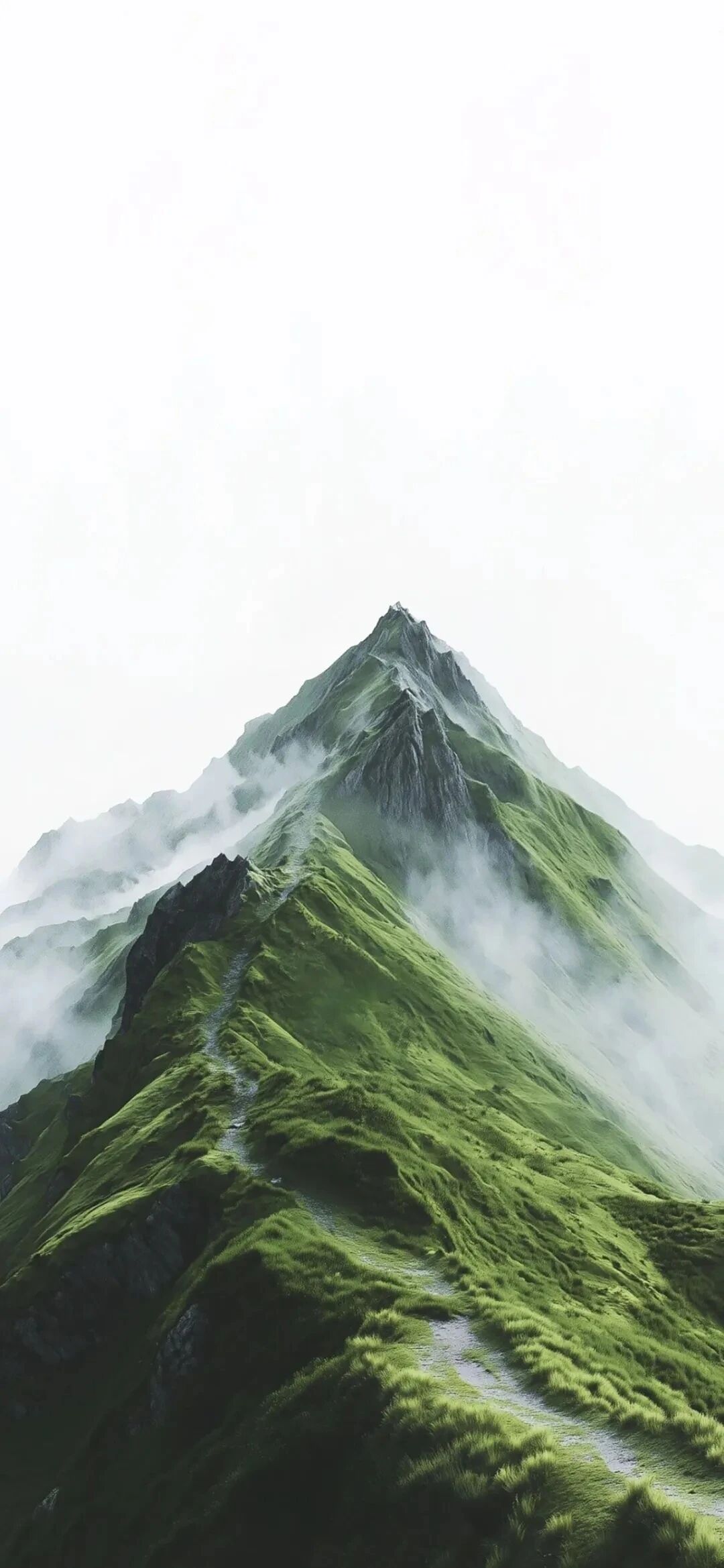 风景