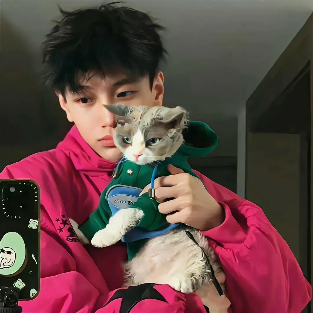 抱着猫咪帅气男生头像