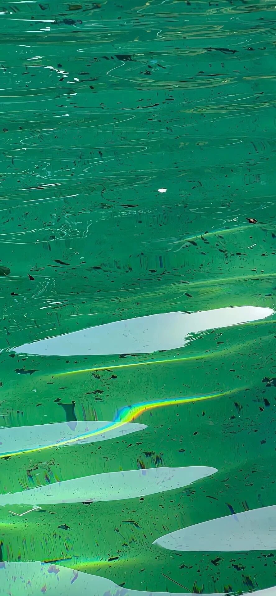 风景