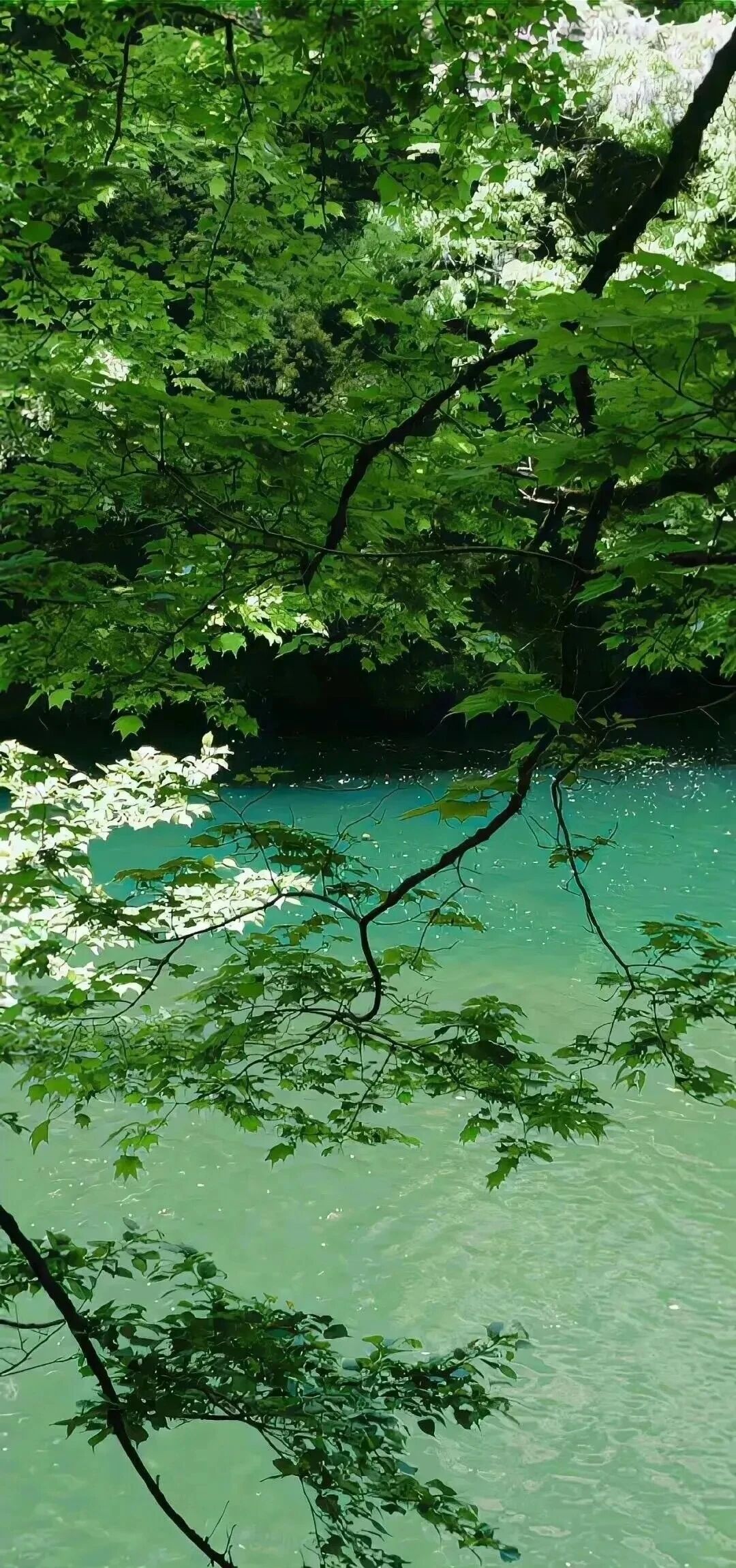 风景