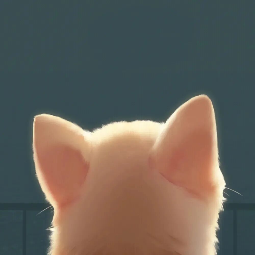 gounbgtdpaituo狗狗卡通情侣头像