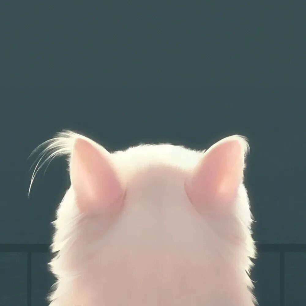 gounbgtdpaituo狗狗卡通情侣头像