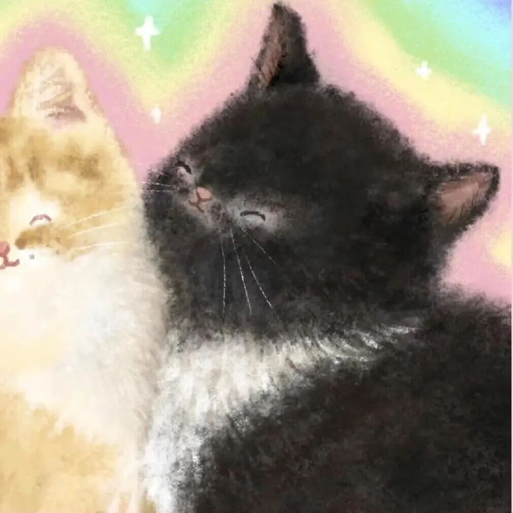 mnbydbqrabgzhouyu可爱猫咪插画情侣头像