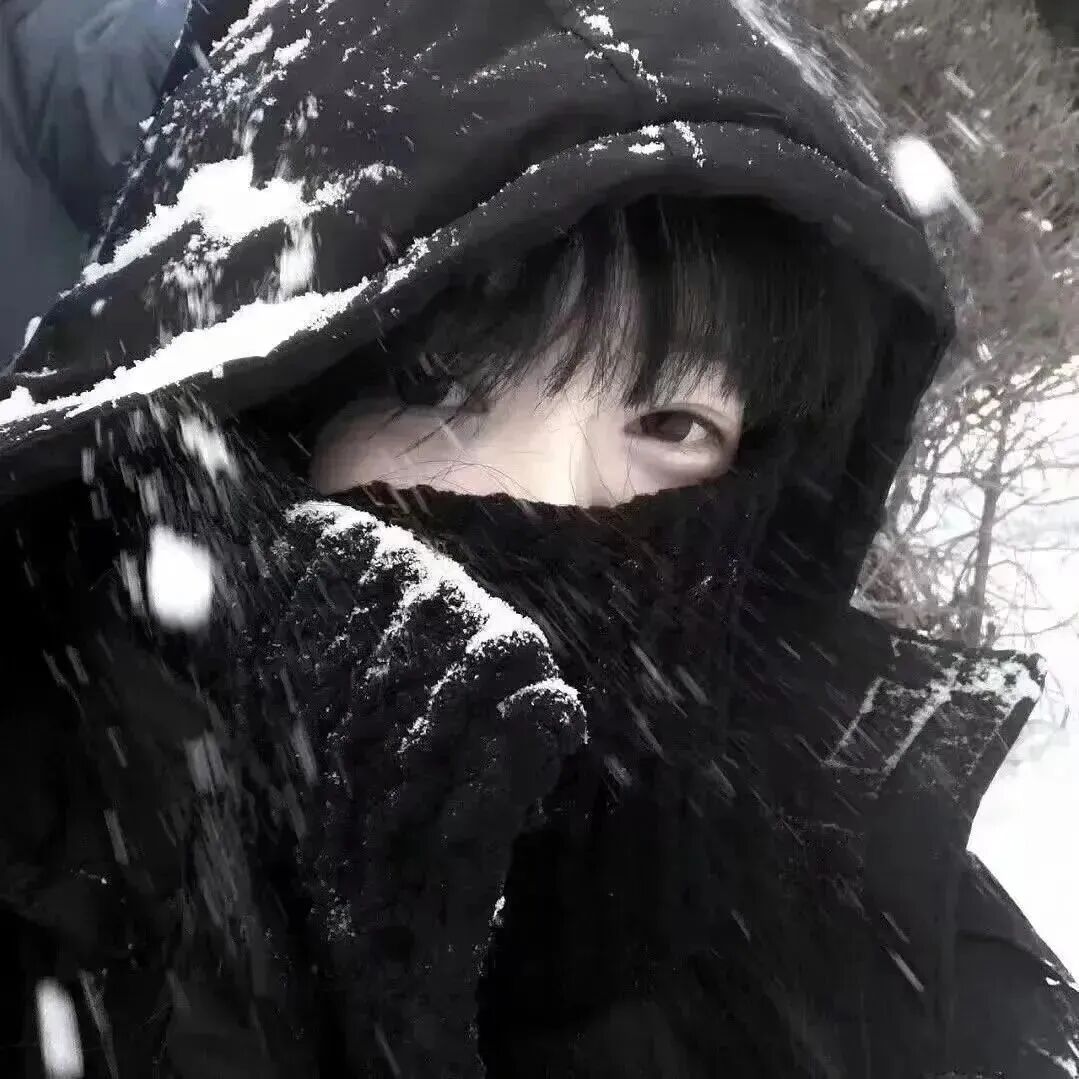 dongtrungjighxinsan冬天单人真人情侣头像