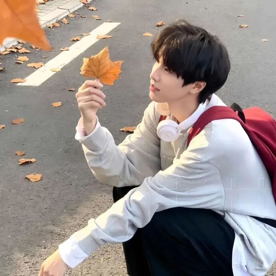 qiuluouyetinqixi秋天落叶真人情侣头像