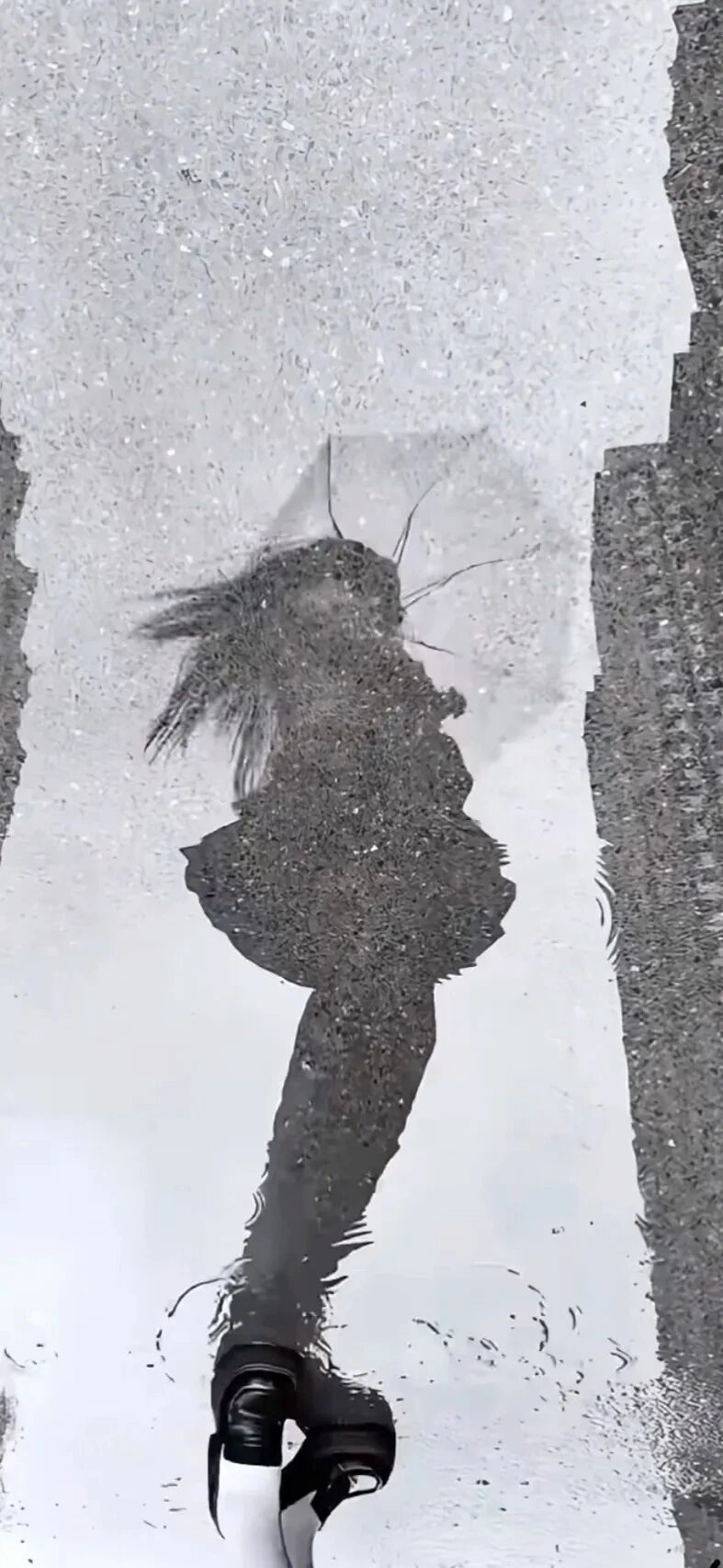抖音热门