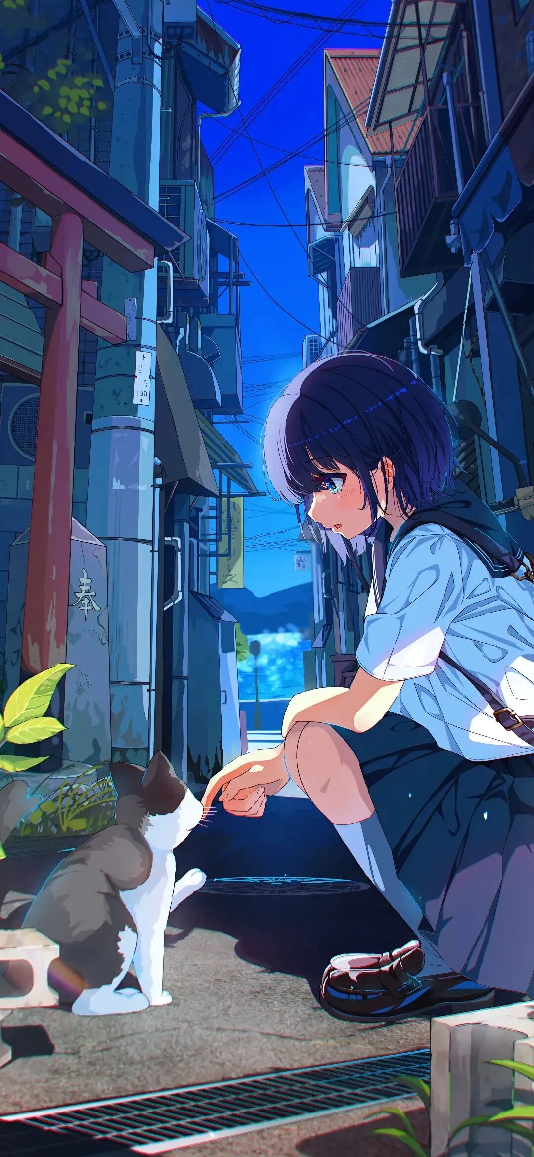 动漫