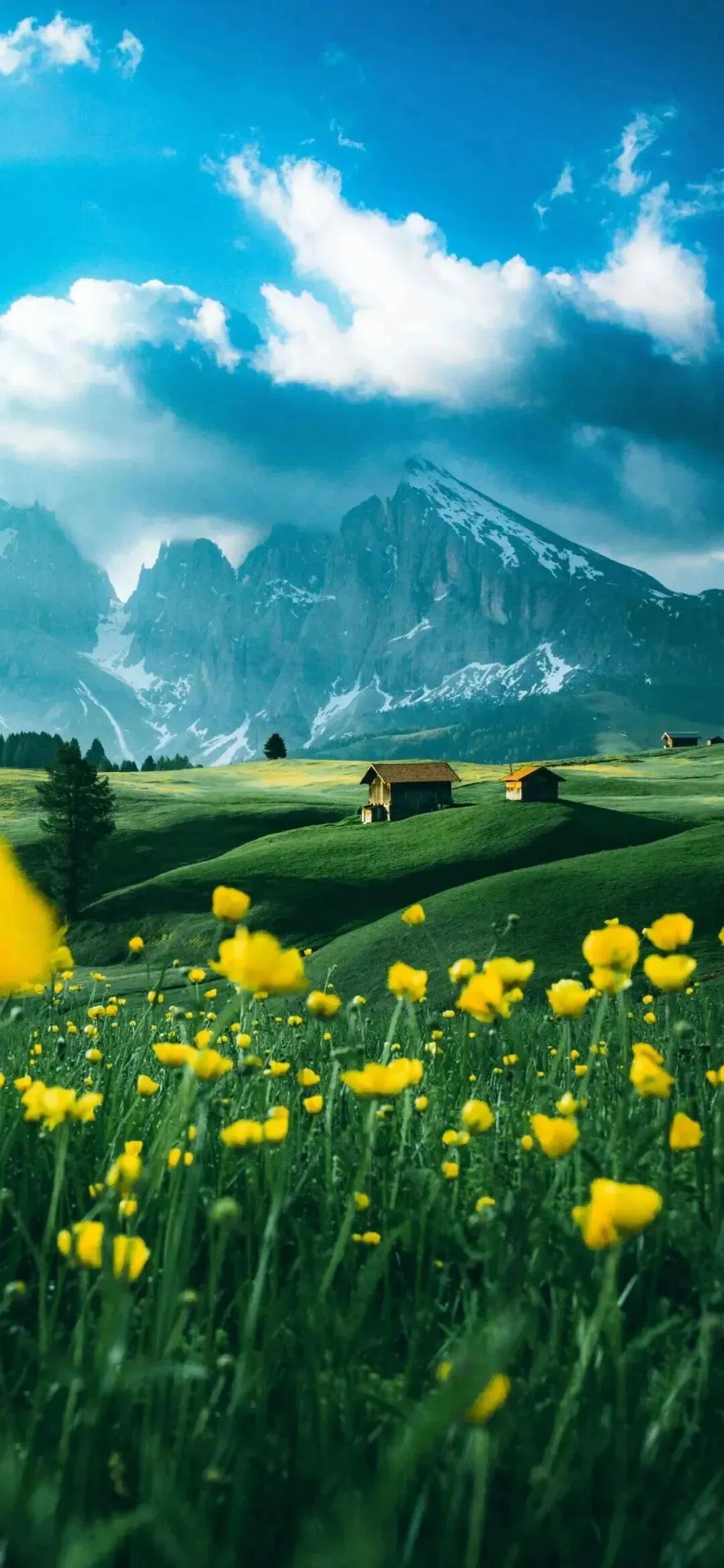 风景
