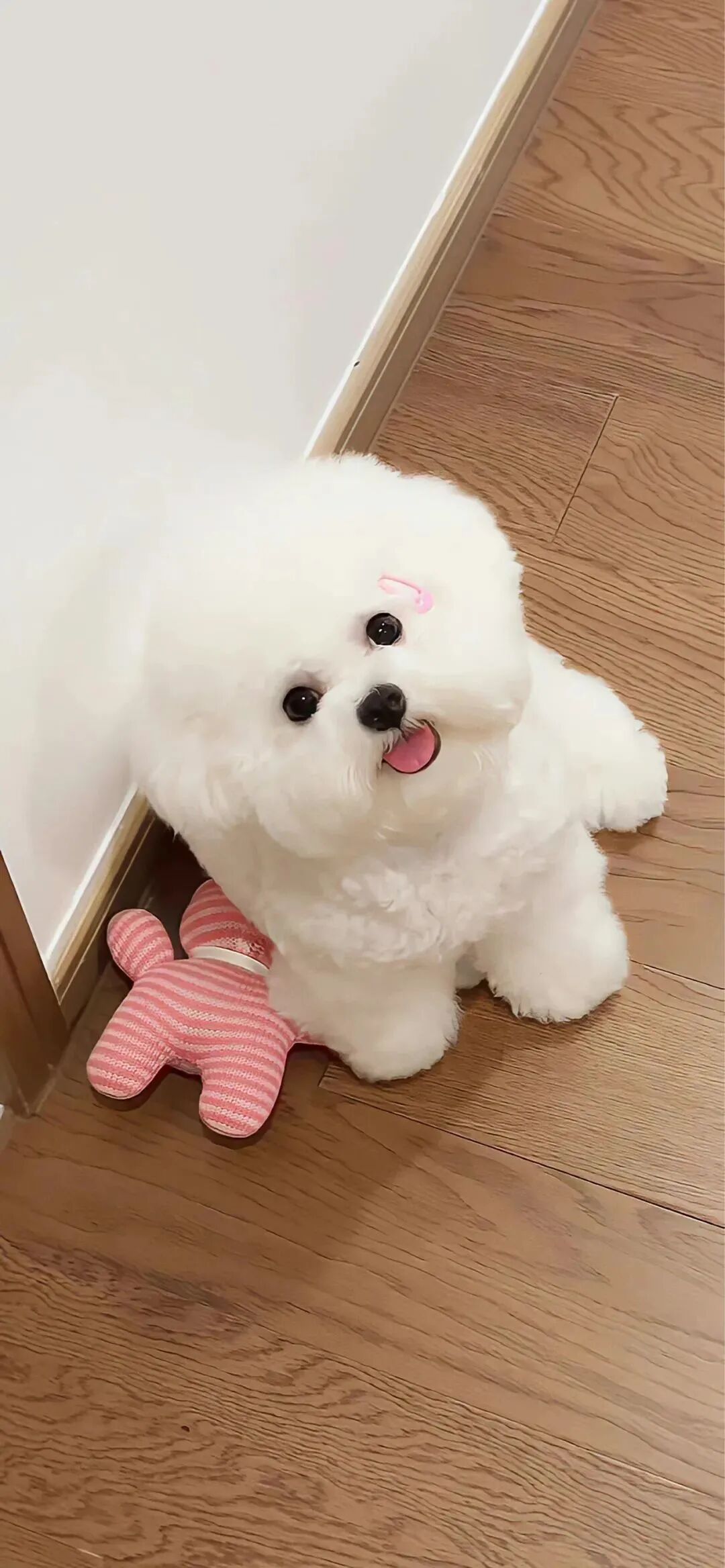 什锦