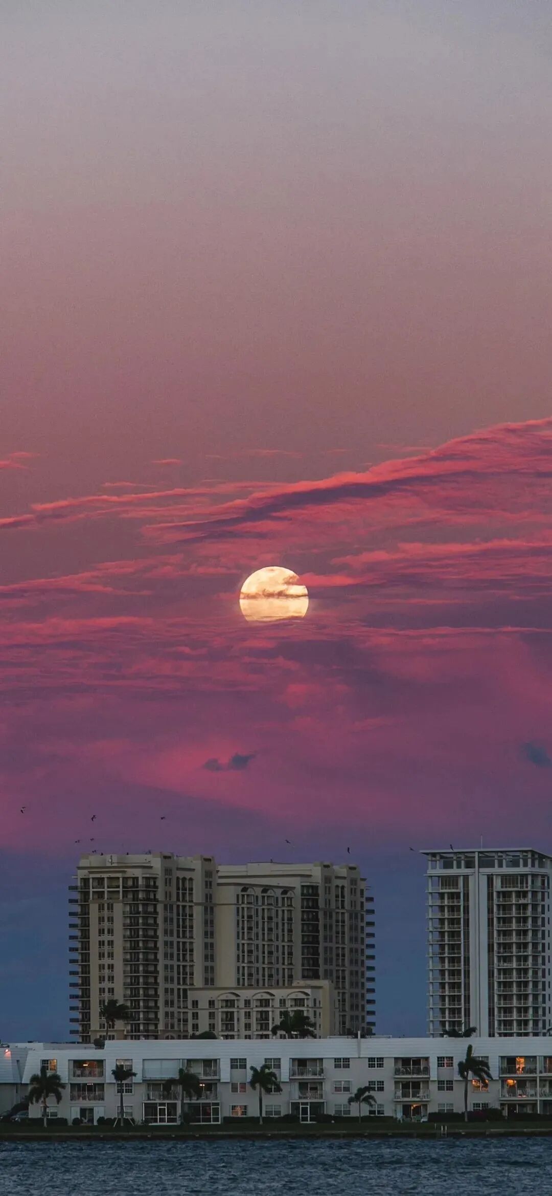 风景