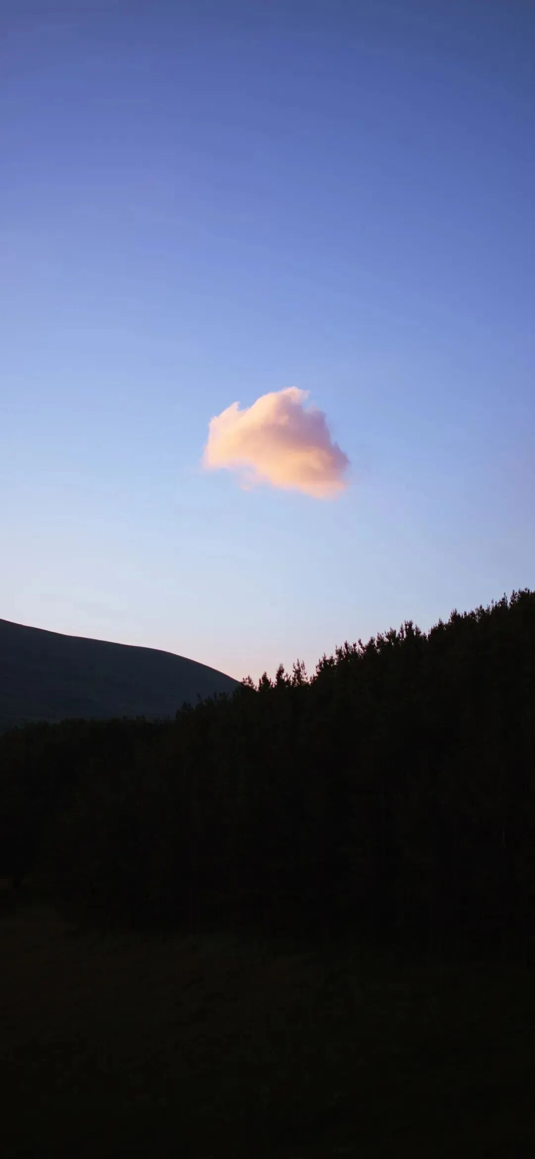 风景