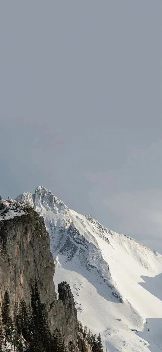 风景