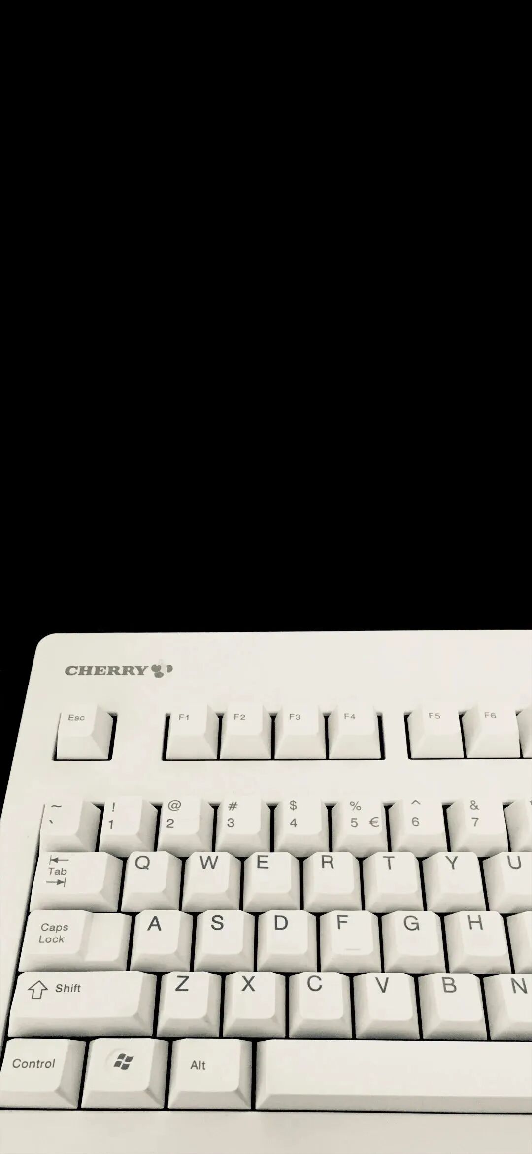 抖音热门
