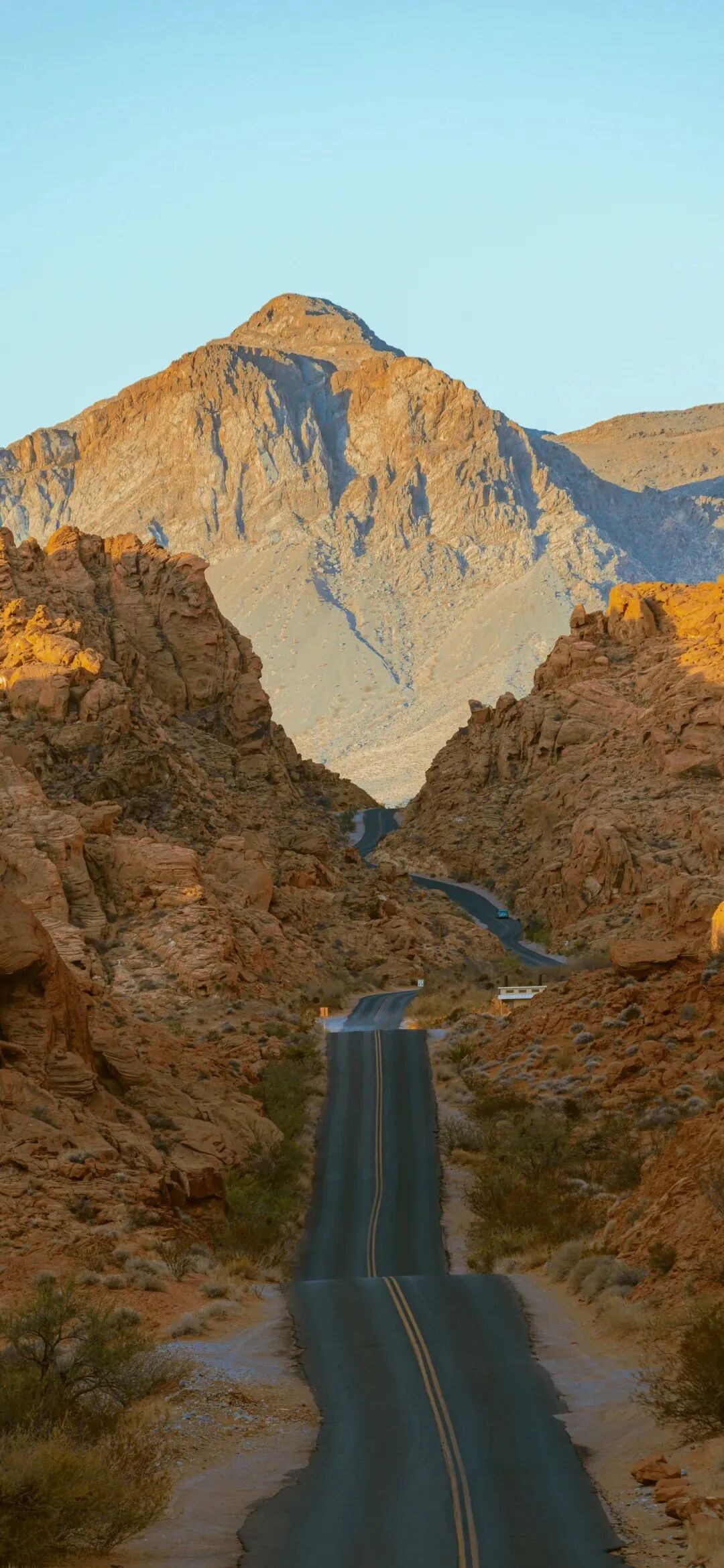 风景