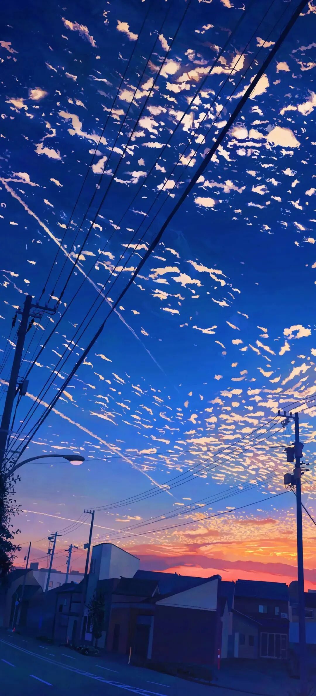 风景