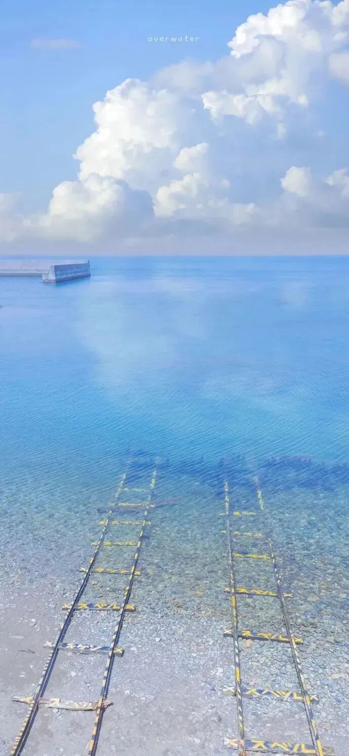 风景