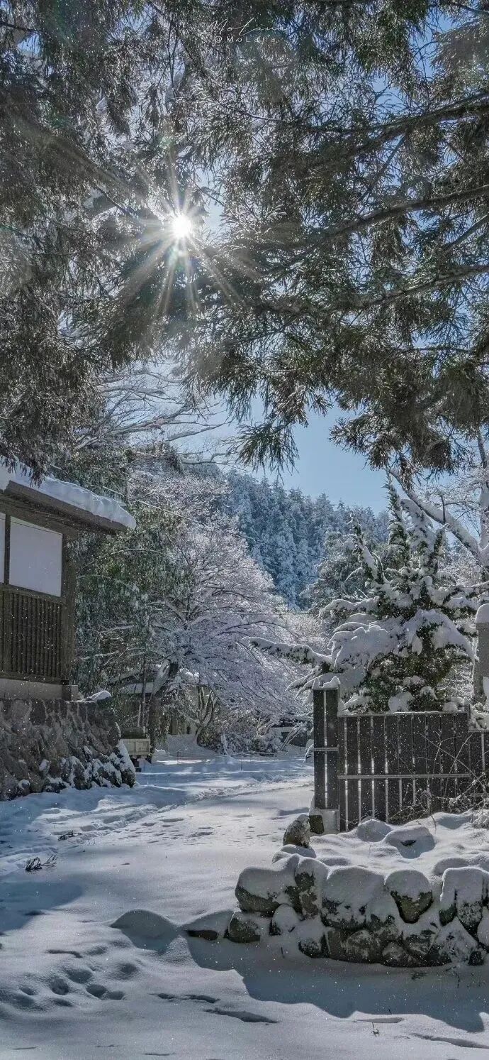 风景