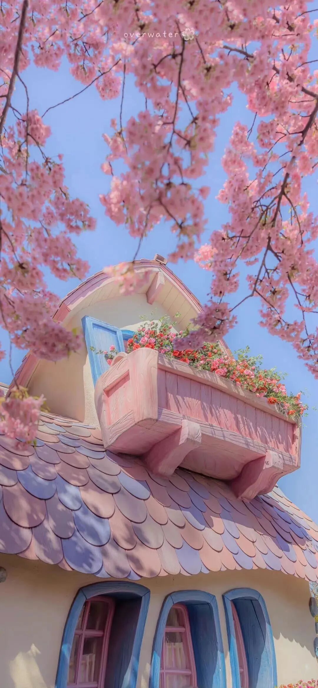 风景