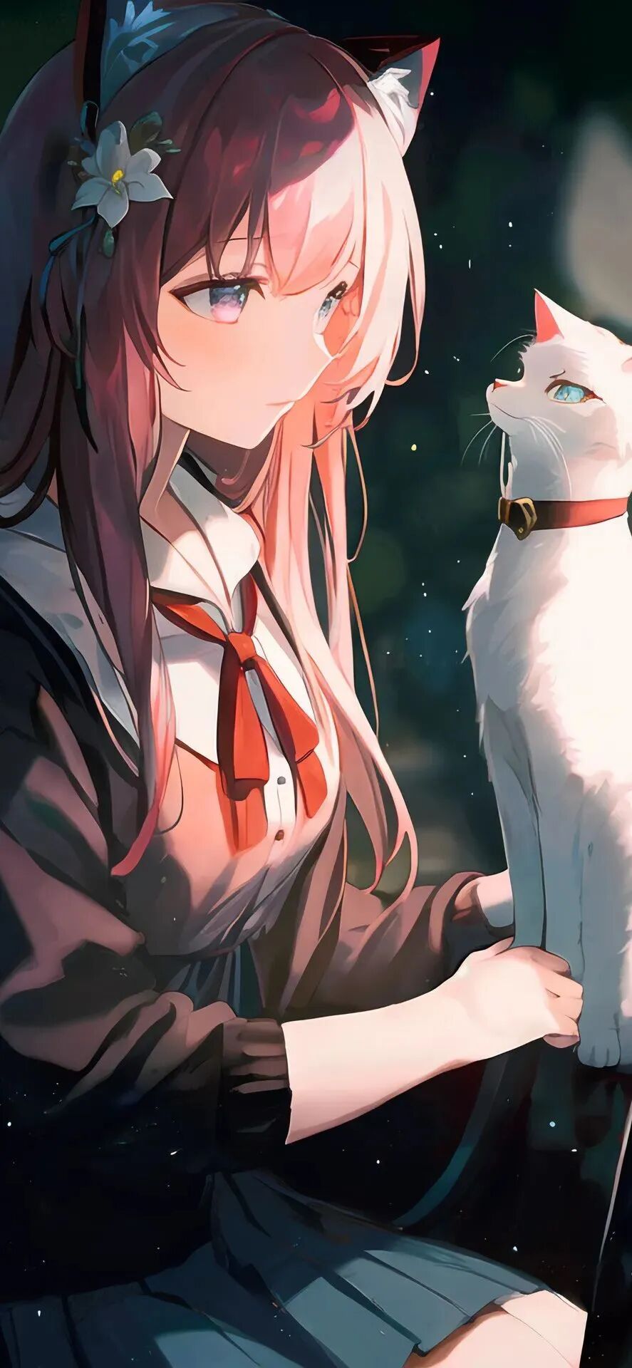 动漫