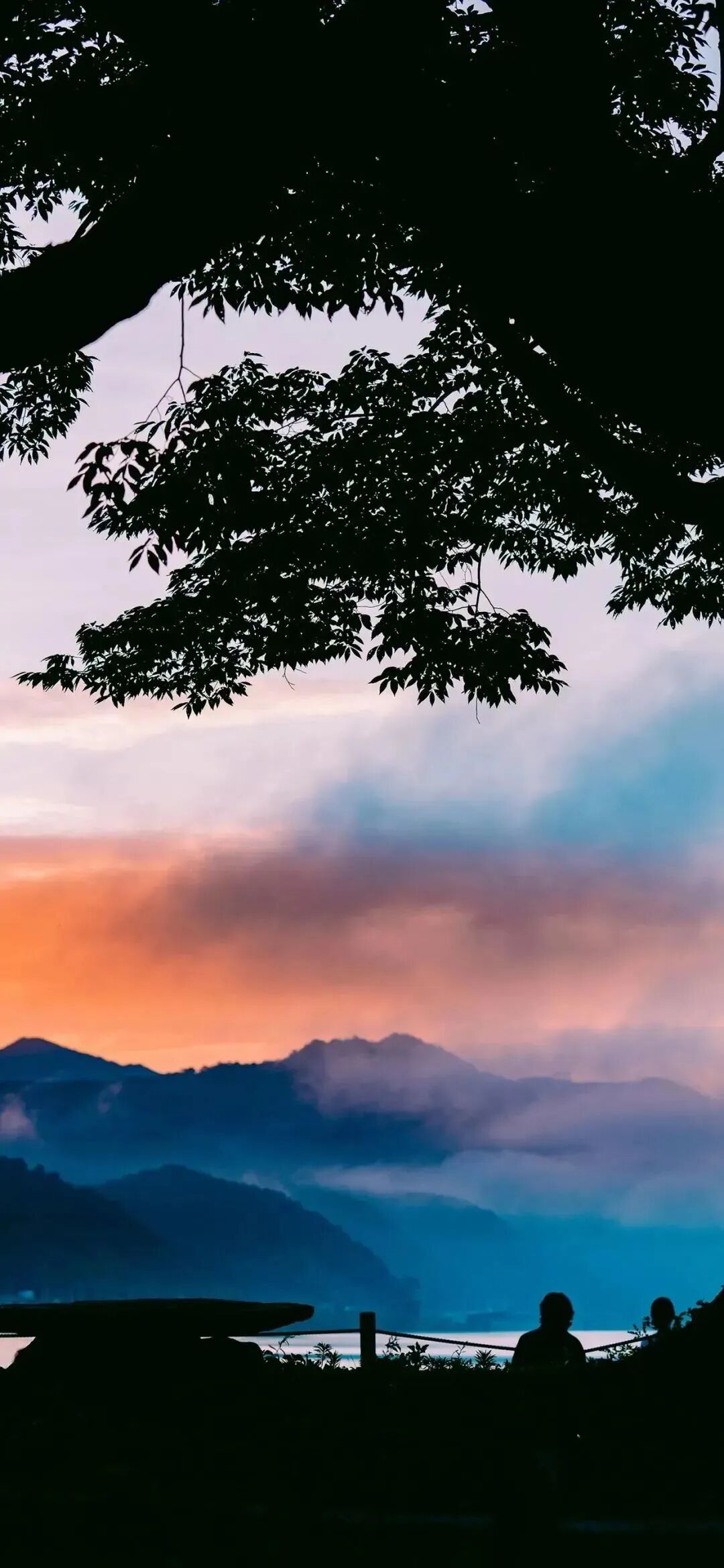风景