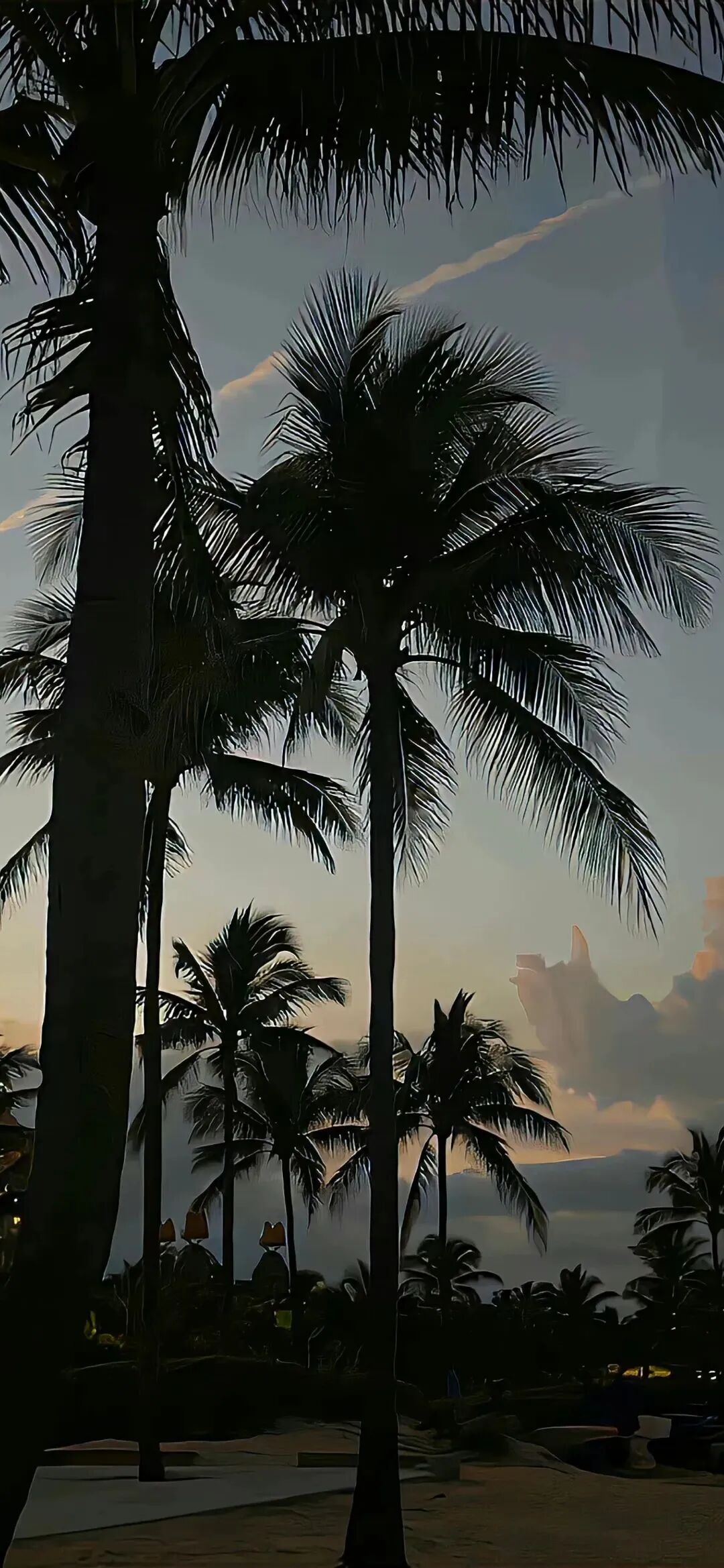 风景