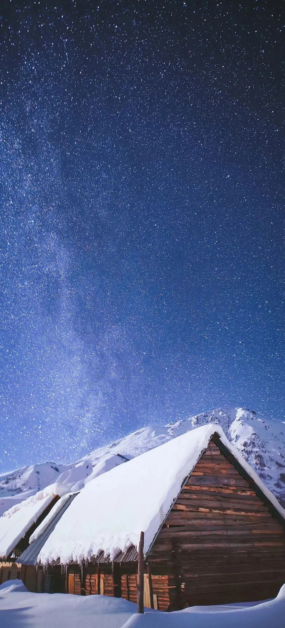 风景