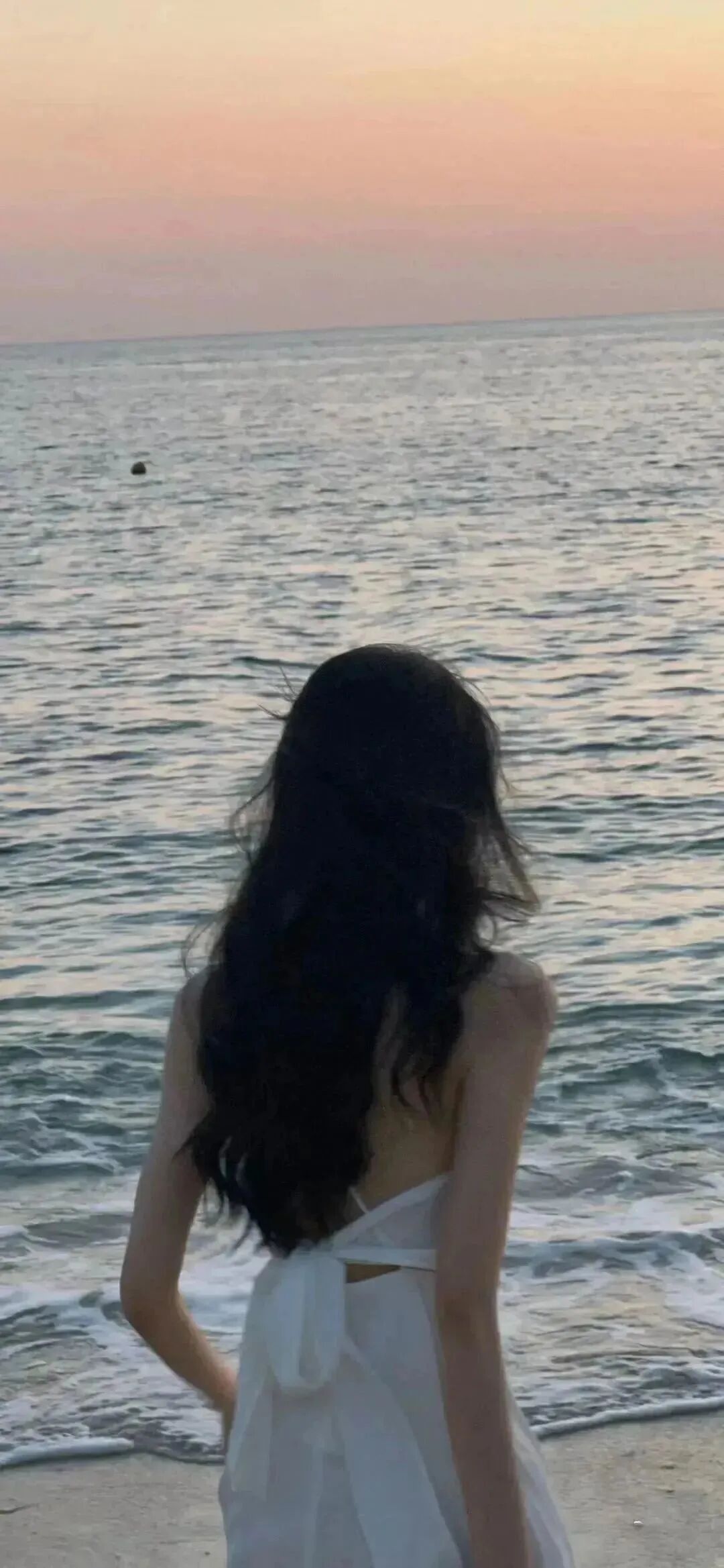 抖音热门