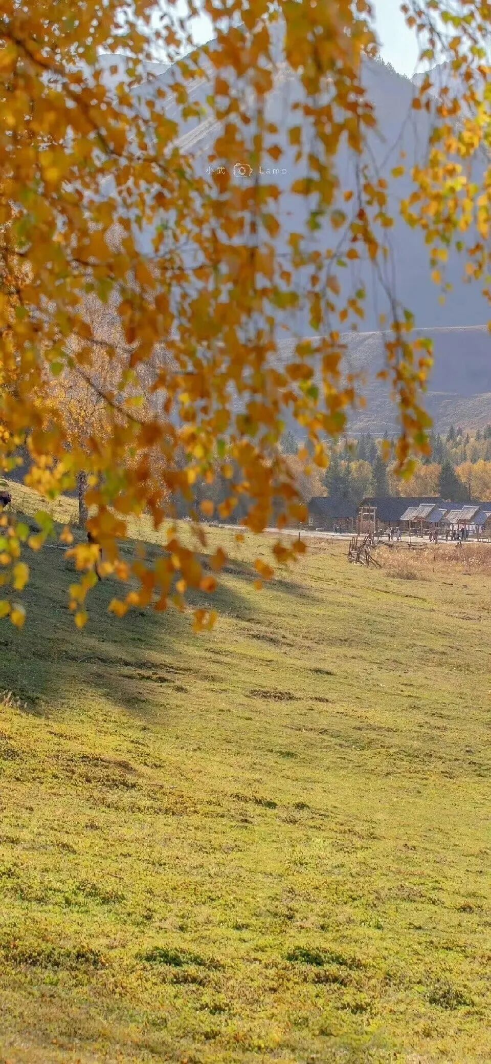 风景