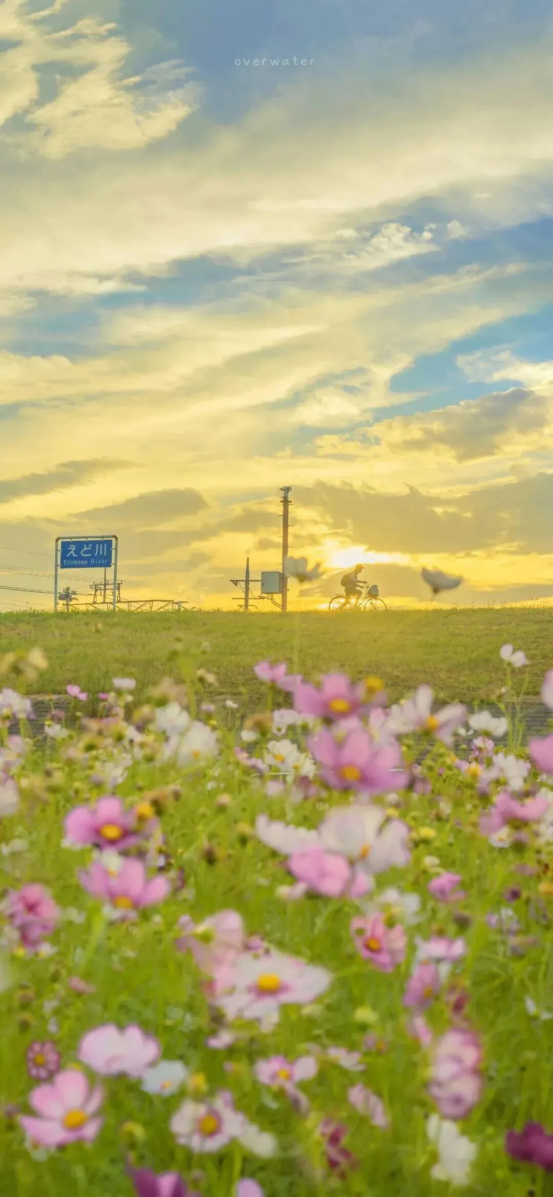 风景