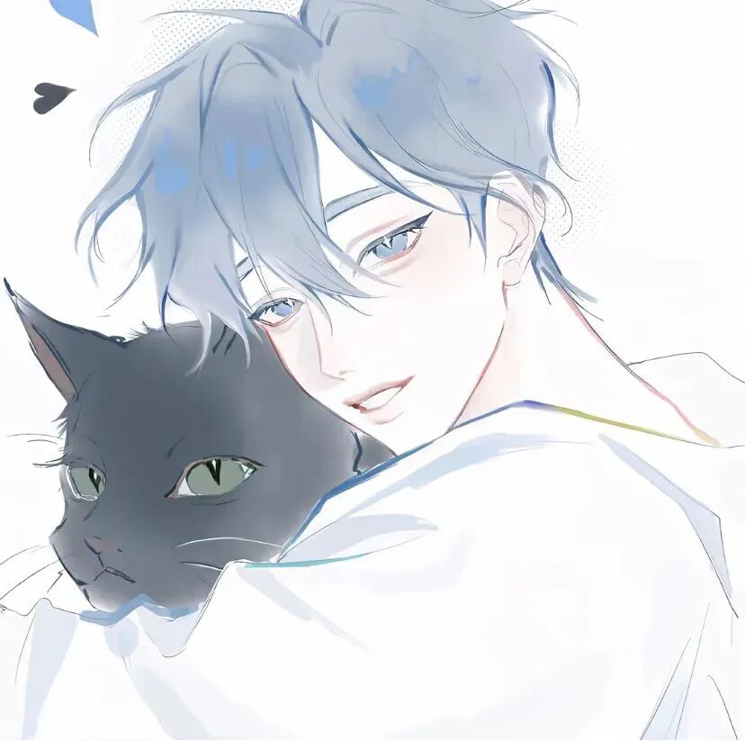 抱着猫咪帅气动漫头像男