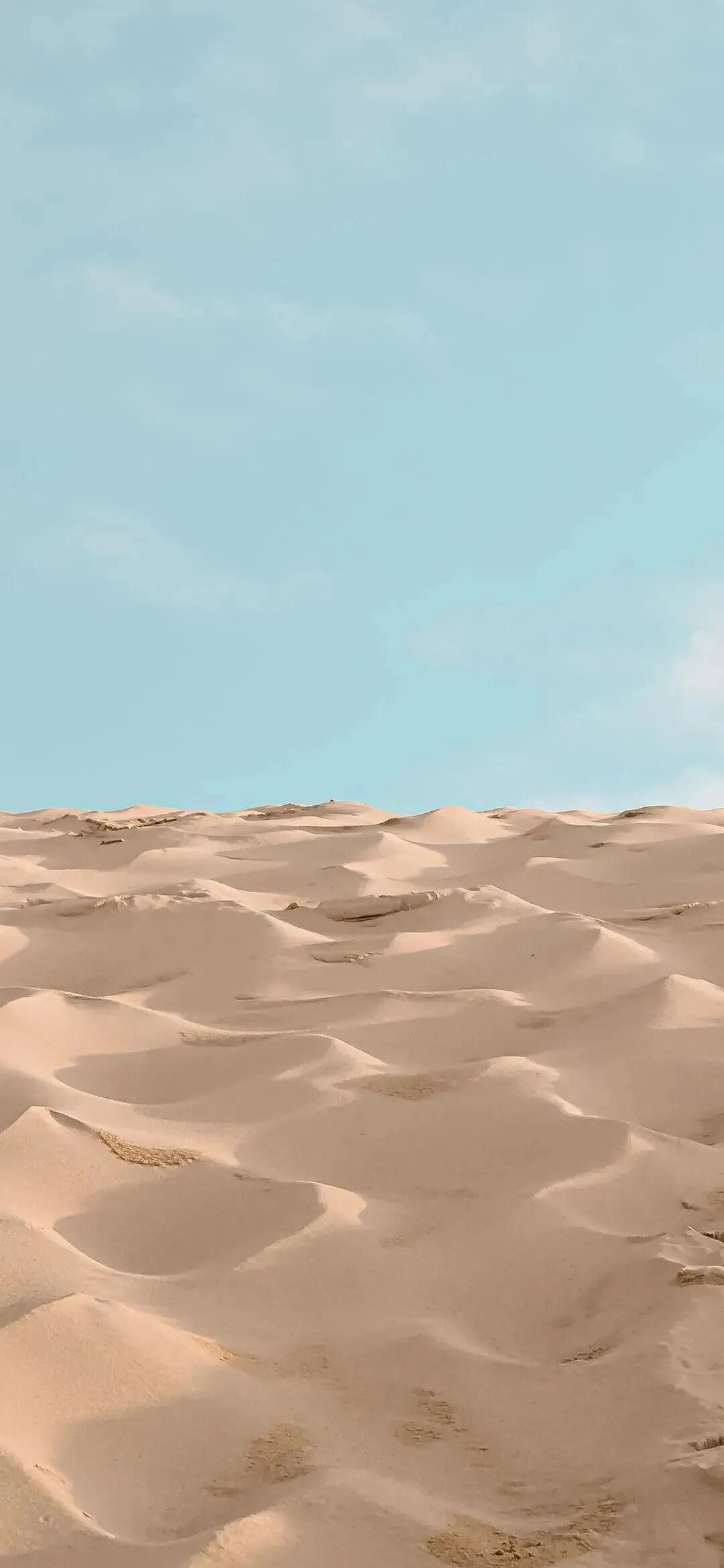 风景