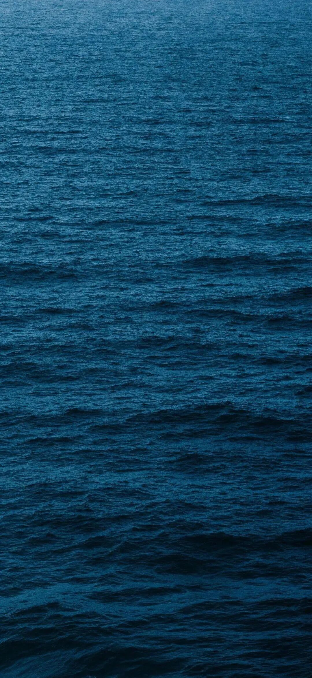 风景