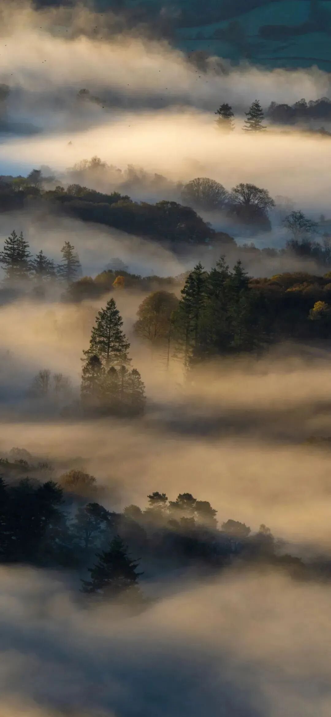 风景