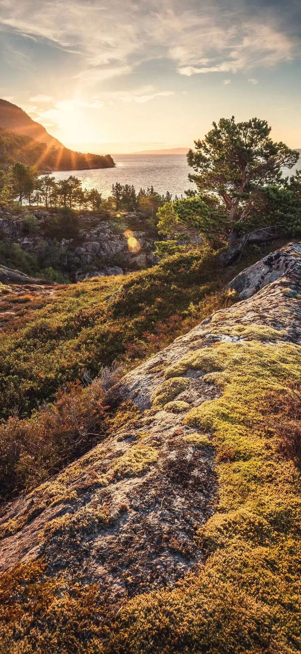 风景